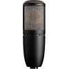 AKG Pro Audio P120 – Affordable 2/3-Inch Diaphragm Condenser Microphone for Clear Vocals & Instruments. Studio Recording or Live. XLR Connector. Black(P420)