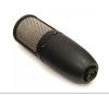 AKG Pro Audio P120 – Affordable 2/3-Inch Diaphragm Condenser Microphone for Clear Vocals & Instruments. Studio Recording or Live. XLR Connector. Black(P420)